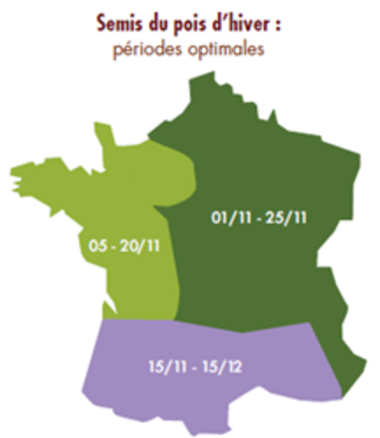 Dates de semis conseillées par Terres Inovia pour le pois d'hiver.