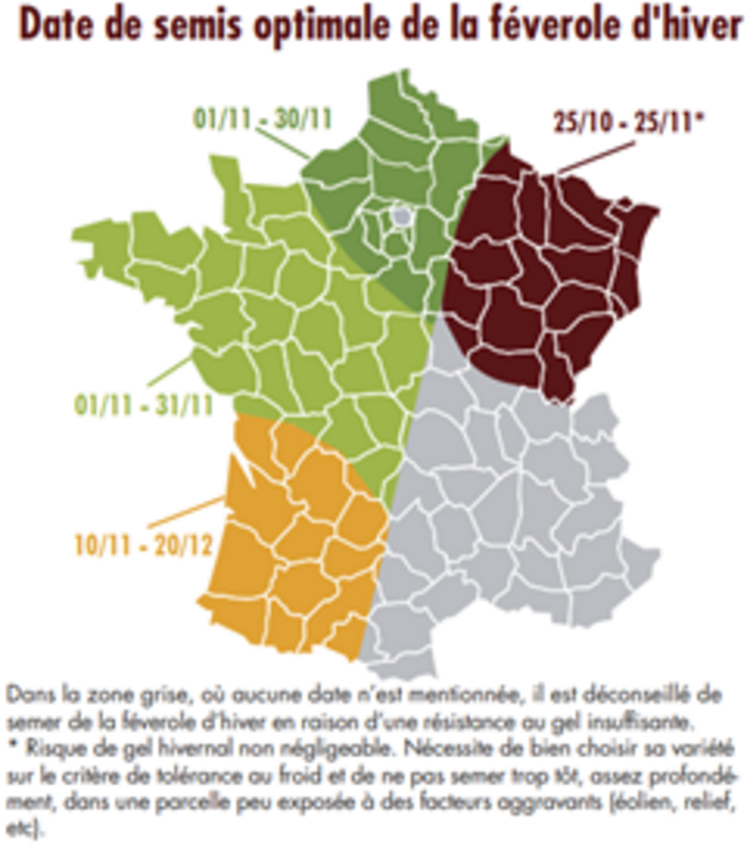 Dates de semis conseillées par Terres Inovia pour la féverole d'hiver.