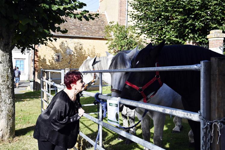 Fabienne Thibeault, chanteuse canadienne et ambassadrice des races locales, était la marraine de la foire aux bestiaux 2023 à Mondoubleau. Elle en a profité pour faire connaissance avec les chevaux percherons. 