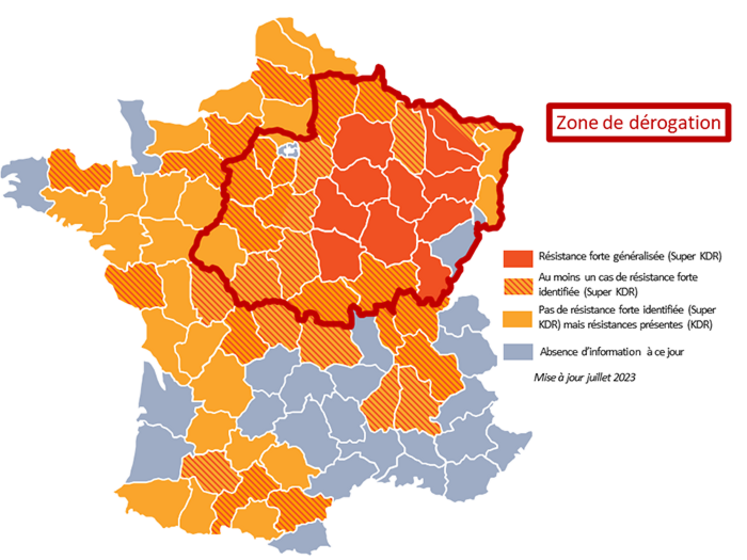 Carte des résistances de la grosse altise aux pyréthrinoïdes.