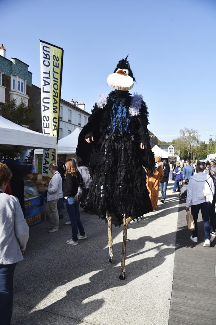Le corbeau en hommage à la fable de la Fontaine déambulait sur les marchés et dans les rues de la ville.