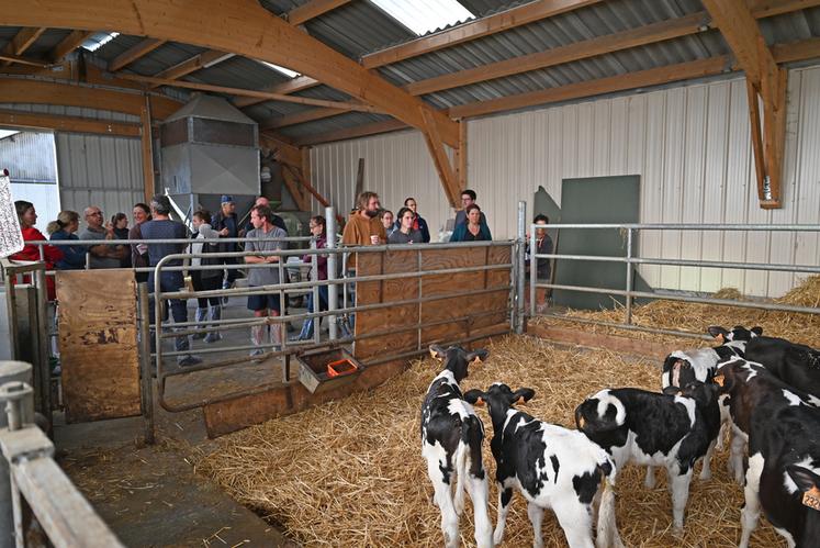 Mardi 10 octobre, à Cormenon. Une vingtaine d'éleveurs bovins lait ont participé à la matinée technique spécial génisses de la chambre d'Agriculture. 