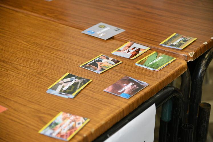 Divisés en 5 groupes, les participants ont construit la fresque de la transmissibilité.