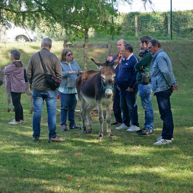 À Chennevières-sur-Marne, discussions sur l'élevage d'anesses à l'Asinerie francilianes avec l'exploitante, Emilie Artus.