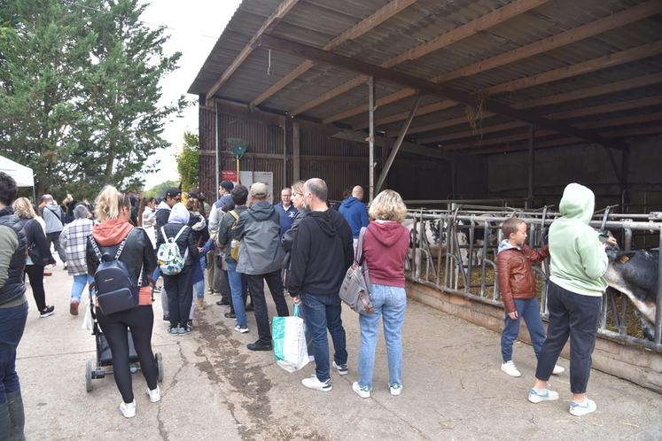 À l'heure de la traite, la ferme de Saint-Thibault voit les files d'attente pour la traite, la boutique ou la dégustation de crêpe s'allonger.