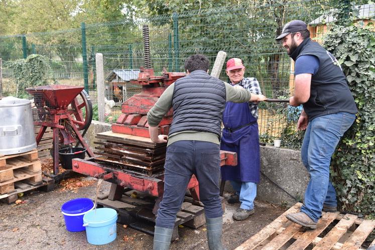 Pomme pressée en direct à la ferme de Saint-Thibault.