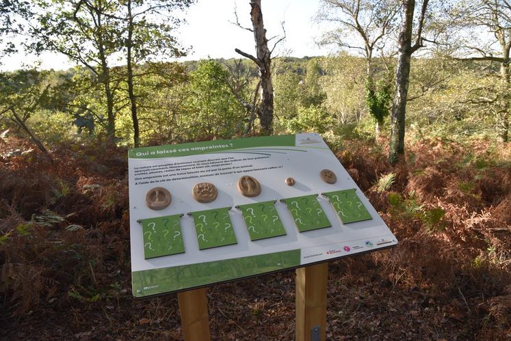 Le tracé du sentier offre de superbes panoramas sur le domaine des Sablons et les richesses de la nature.