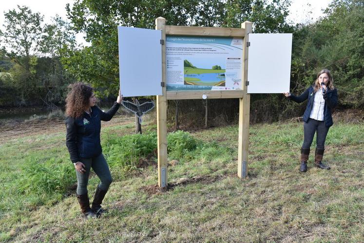 Le long du parcours, des panneaux informatifs présentent les différents écosystèmes. 
