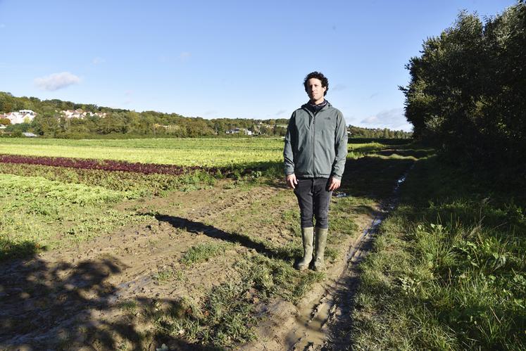 Au Mesnil-le-Roi (Yvelines), l'exploitation maraîchère de Vincent Dutorte est menacée par un vaste projet d'aménagement des berges de Seine. 