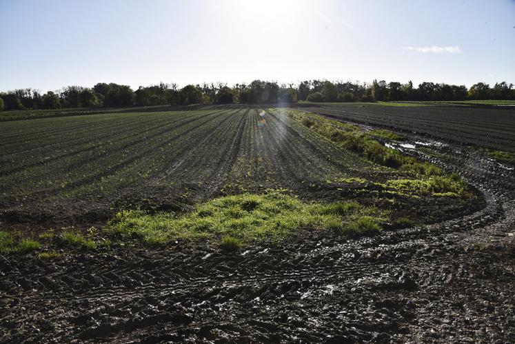 Le projet prévoit l'expropriation du maraîcher de l'ensemble du chemin qui longe la Seine, rendant ainsi ses fonds de parcelles totalement inaccessibles. 