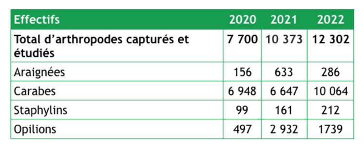 Effectifs d’arthropodes capturés et étudiés par le Laboratoire d’éco-entomologie pour le projet Iciba.