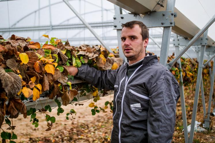 Valentin Caron s'est installé en 2016 à Sandillon. 