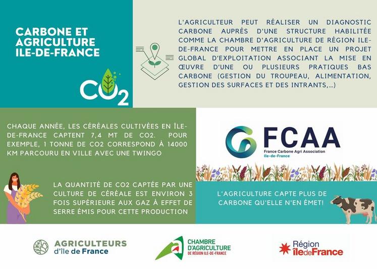 Créer une Ferme Pédagogique  4 Étapes pour Réussir votre Projet