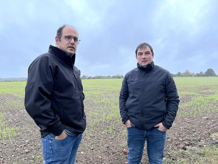 Étienne Accault (à g.) et Mickaël Berthault (à d.) ont opté pour la location d’une moissonneuse-batteuse en commun.