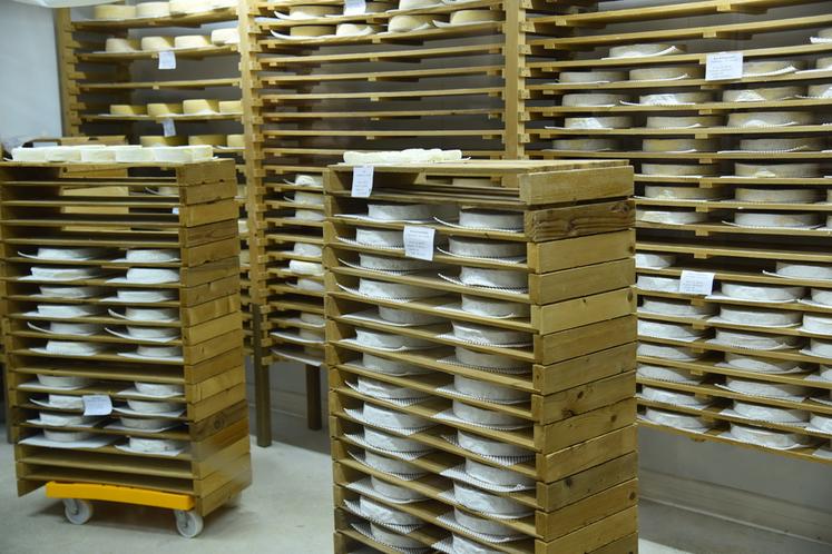 Jouarre, samedi 21 octobre. Si le brie de Meaux, de Charlemagne à Henri IV au congrès de Vienne et même à l’Exposition universelle, apparaît comme le roi des fromages, d'autres bries sont appréciés des consommateurs, chacun ayant ses spécificités.