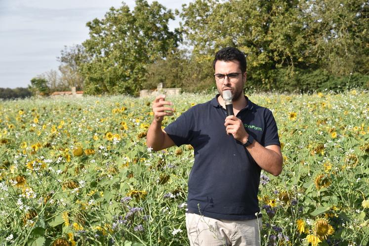 Souppes-sur-Loing, jeudi 12 octobre. Antoine Gilbert présente la conduite des couverts sur l'exploitation familiale. 