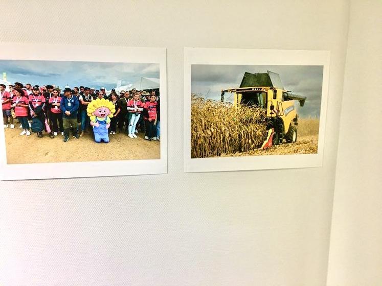 L'exposition photo à la Cité de l'agriculture, à Orléans, retrace les moments forts des Terres de Jim 2022. 