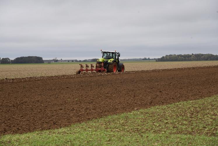 Les semis d'automne sont rendus difficiles par une météo très pluvieuse. Pour la plupart, le labour est incontournable.