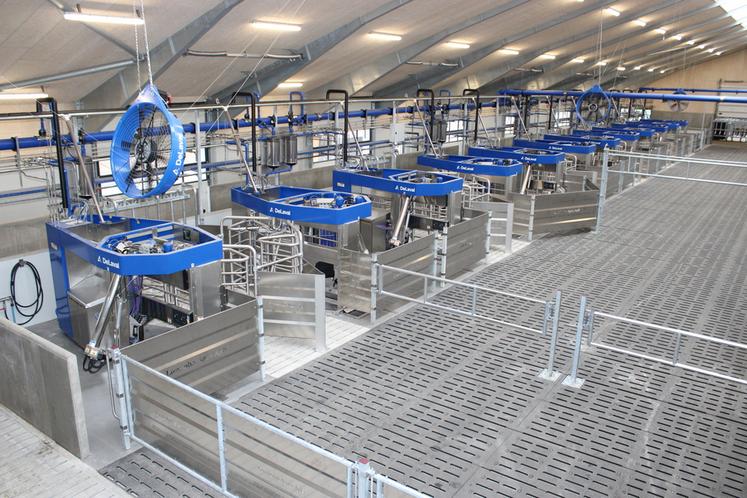 La plus grande installation au monde en Batch Milking se situe au Danemark. Elle compte 24 robots pour traire 830 jersiaises (1 400 à terme).