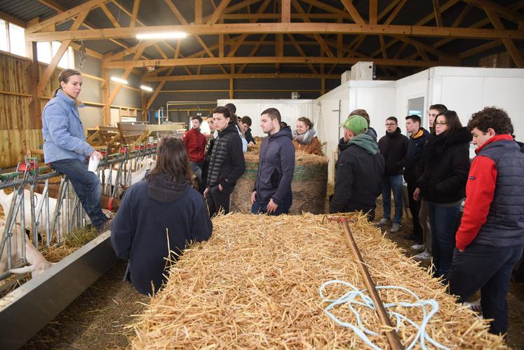 Mercredi 8 novembre, à Fontenay-sur-Eure. L'éleveuse Manon Bauchet (à g.) explique les tenants et aboutissants de son exploitation dans le cadre de la Journée de découverte de la diversification agricole de la Chambre.