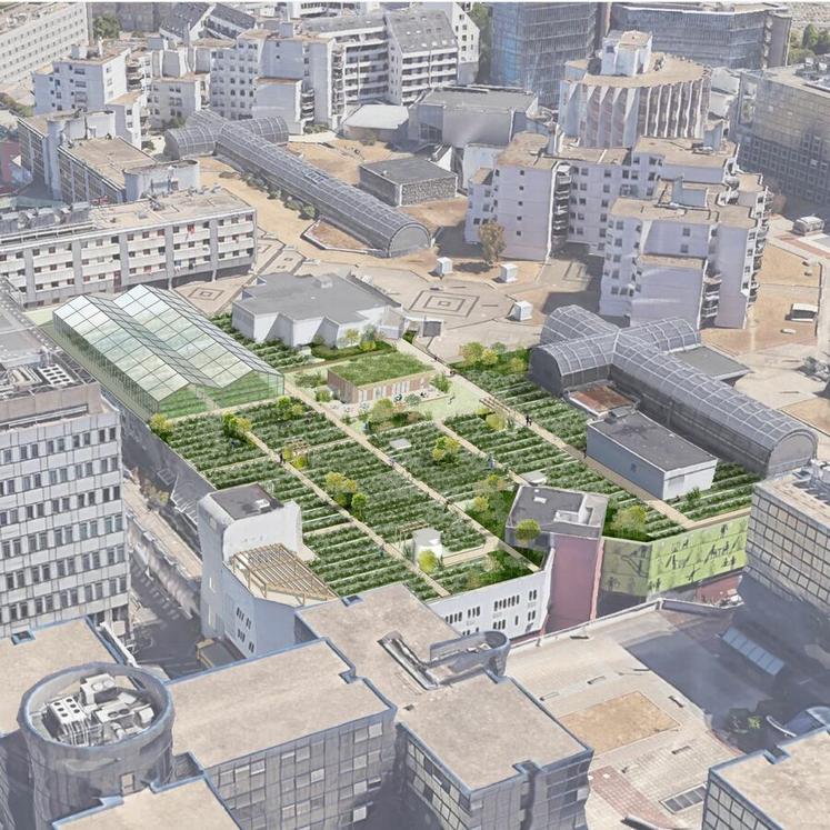 Ma salade à toit prévoit l’installation d’une ferme maraîchère sur un centre commercial.