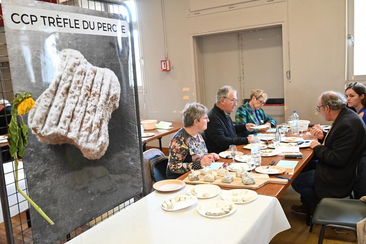 Mercredi 8 novembre, à Selles-sur-Cher. Le Concours régional de fromages organisé par la SDA 41 a eu lieu avec 70 producteurs et 256 échantillons.