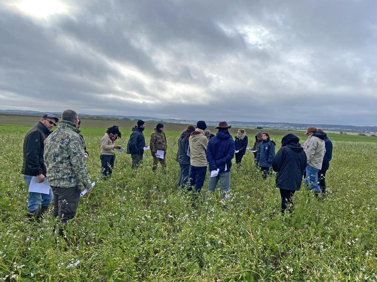 Mercredi 8 novembre à Noisy-le-Roi (Yvelines) lors de la visite de la plateforme d'expérimentation Agrifaune.