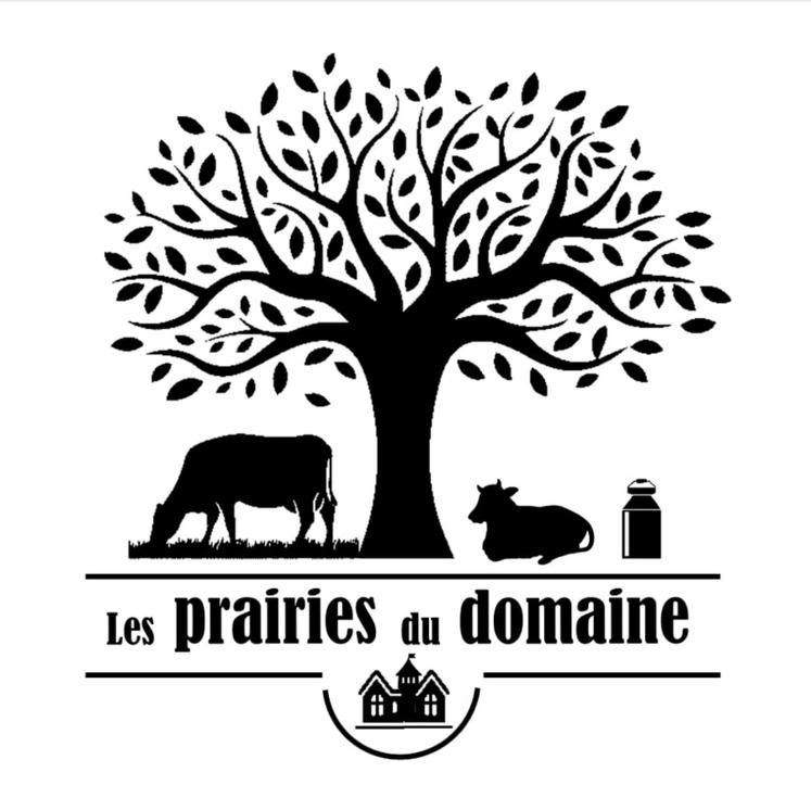 Sur sa future exploitation, la jeune agricultrice produira des fromages, du beurre ou encore des yaourts. 