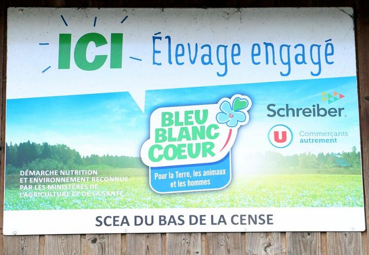 Les vaches produisent un lait qui contient davantage d'acides gras oméga-3 et moins de graisses saturées.