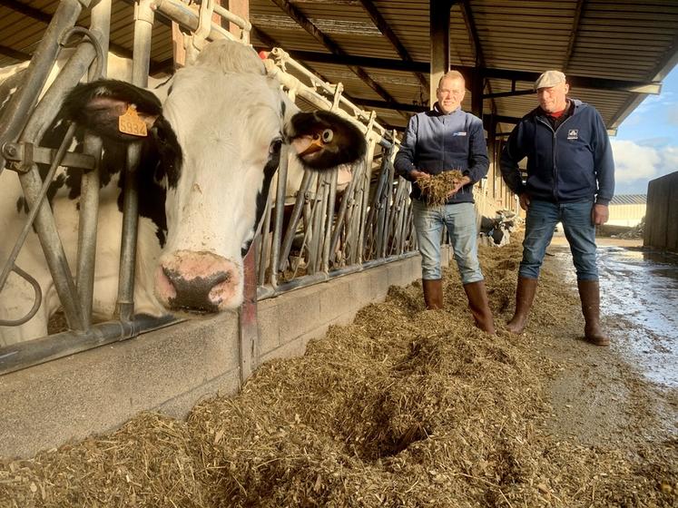 Grâce à la luzerne, Pascal et Alain Catoir adaptent la ration selon leurs objectifs et la qualité du maïs.