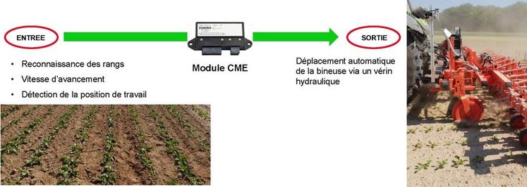 La caméra et les palpeurs reconnaissent les rangs de la culture, les données sont traitées puis entraînent le déplacement latéral de la bineuse.
