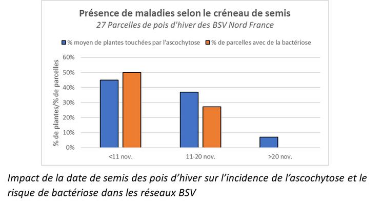 Impact de la date de semis des pois d’hiver sur l’incidence de l’ascochytose et le risque de bactériose dans les réseaux BSV.