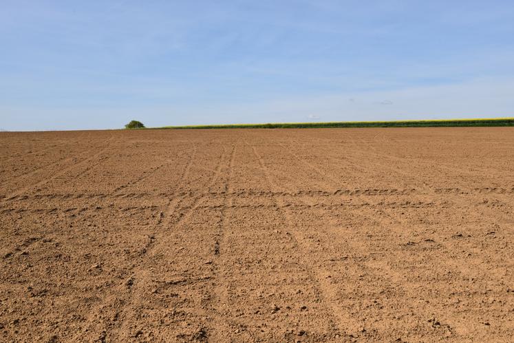 Imposer 4 % de surfaces agricoles improductives en Europe est un non-sens.