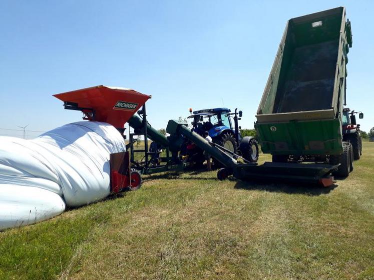 Les opérations ont démarré le 27 juin et se poursuivront jusqu’aux environs du 6 juillet.