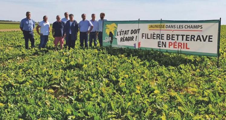 Le 18 juillet, rencontre sur le terrain avec les élus du Loiret et différents acteurs de la filière betteravière.