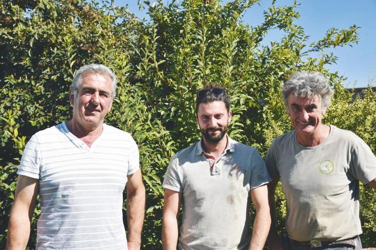 Le 28 août, à Rouvres-Saint-Jean. Les associés Gilles Desforges, Dorian et Alain Sagot (de g. à dr.) font partie du projet Agrognon et testent l'agriculture de conservation pour la culture d'oignons de plein champ.