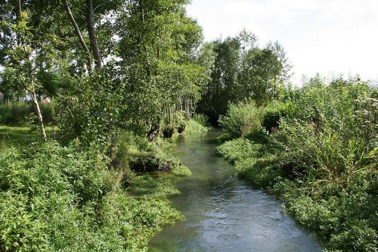 Du SDAGE dépendra la liberté de chacun de développer des projets agricoles ayant un impact sur l’eau.