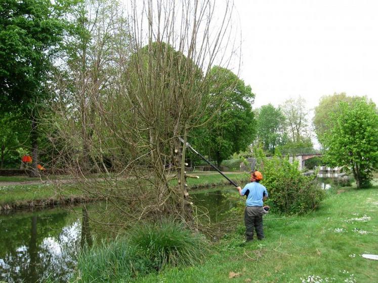 Les zones humides : un enjeu majeur.