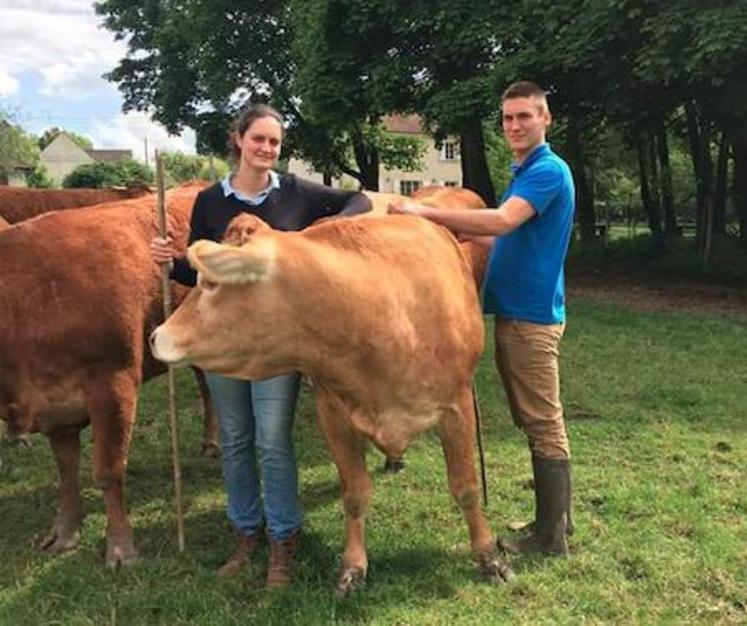 Le couple et ses « belles rousses » est installé aux Thibaults, à Chevry-sous-le-Bignon.