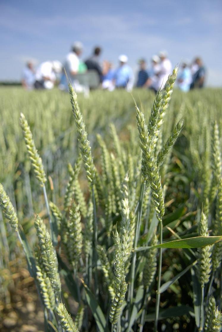 En pleine période de manifestations agricoles pour le trop plein de taxes et contraintes, comment vont réagir les agriculteurs du Centre à ces chiffres? Sont-ils représentatifs?