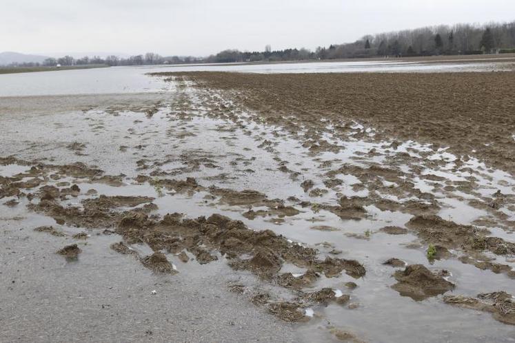 Culture agricole sous l'eau.