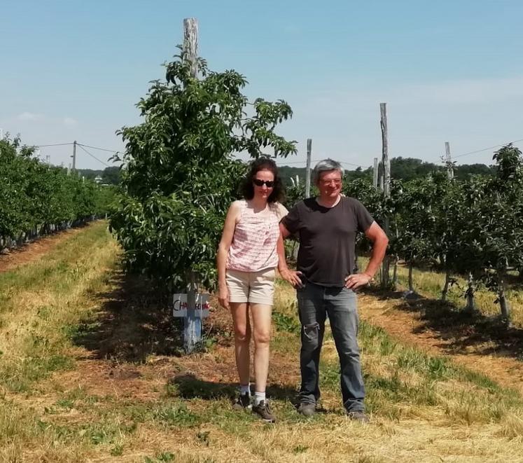 Olivier Poulard, arboriculteur dans le Loiret.