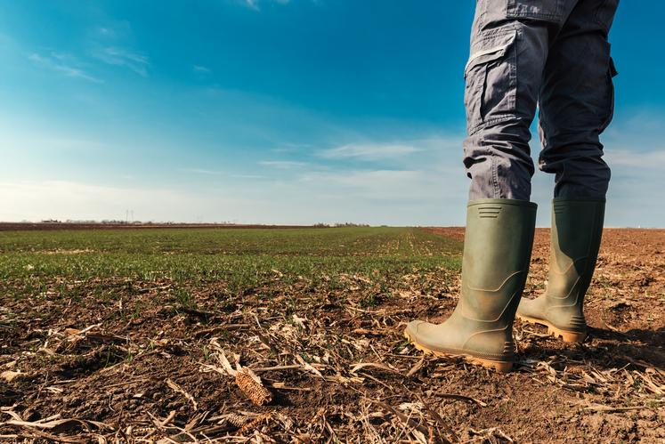 Agriculteur en bout de champ.