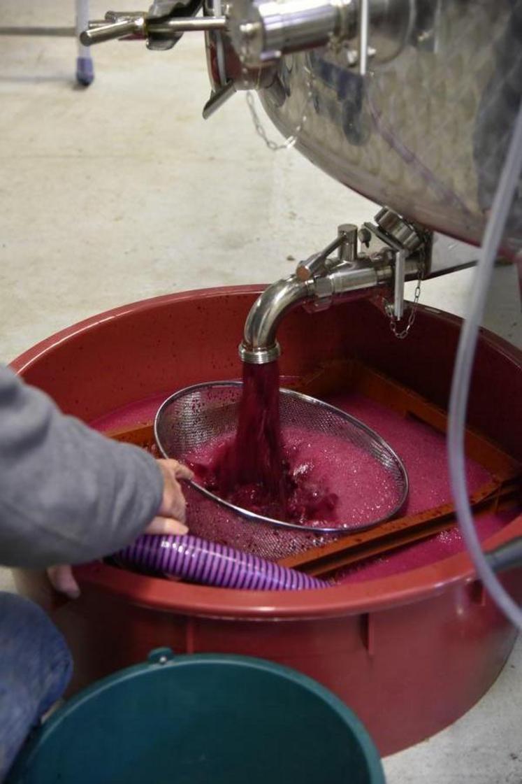 Le 29 septembre, les Bléchet décuvaient leur récolte de rouges. Une première cuve où fermentait le raisin a été vidée. Le jus a ensuite été placé dans une seconde cuve propre.