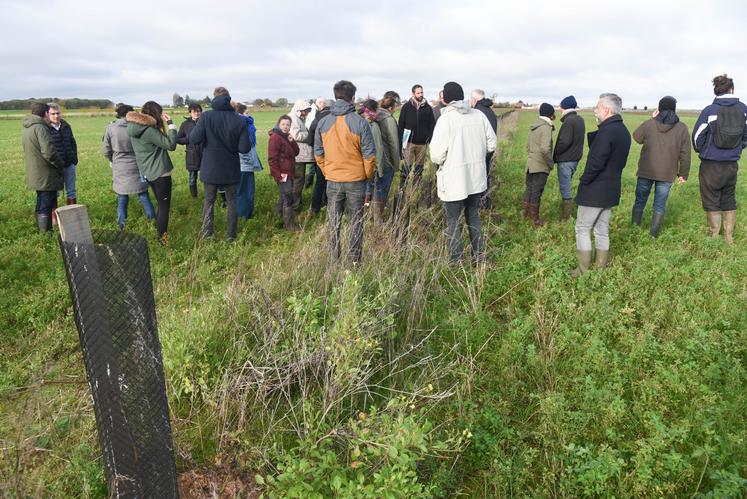 Le 17 novembre 2022, visite de l'exploitation d'Yves Gauthier, à à Villeneuve-Saint-Nicolas.