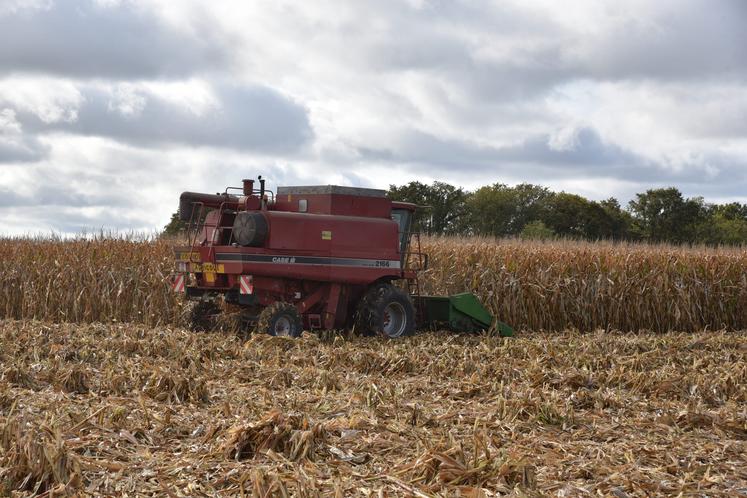 Début novembre 2021, récolte du maïs dans le secteur de La Chapelle-sur-Aveyron (Loiret).