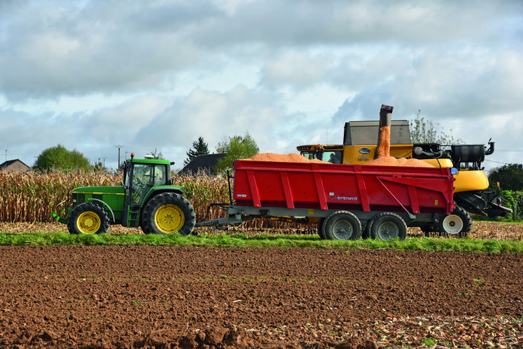 Début novembre 2021, récolte du maïs dans le secteur de La Chapelle-sur-Aveyron, dans le Loiret.