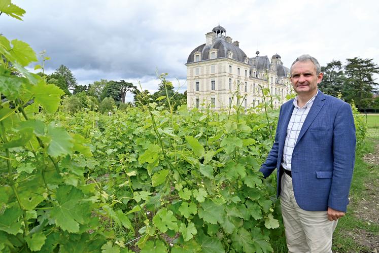 Le marquis de Vibraye est plutôt chanceux. Sa vigne a gelé partiellement et devrait donc être vendangée pour la première fois en septembre.