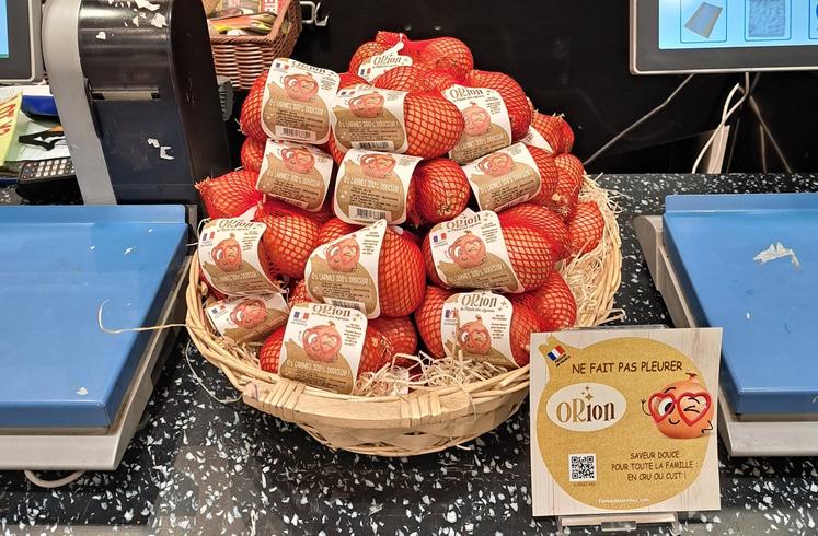 Orion, l'oignon qui ne fait pas pleurer et sans mauvaises odeurs.