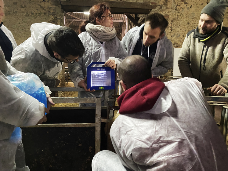 Jeudi 23 novembre, à Douchy-Montcorbon. Les étudiants étaient sur un chantier échographique afin de se familiariser avec l'appareil.